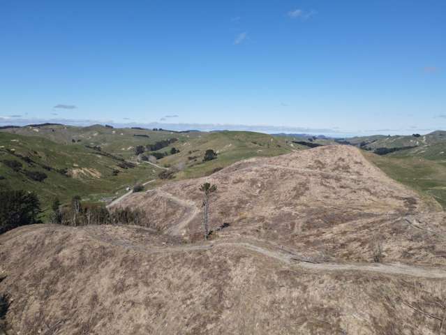 Address withheld Dannevirke_2