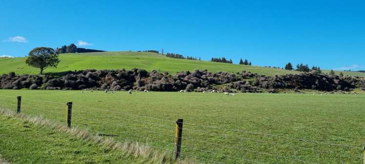 163 Lynwood Road Te Anau Surrounds_9