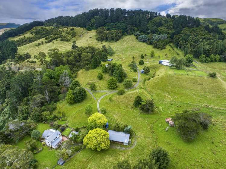 1131 Whakarau Road Te Karaka_7