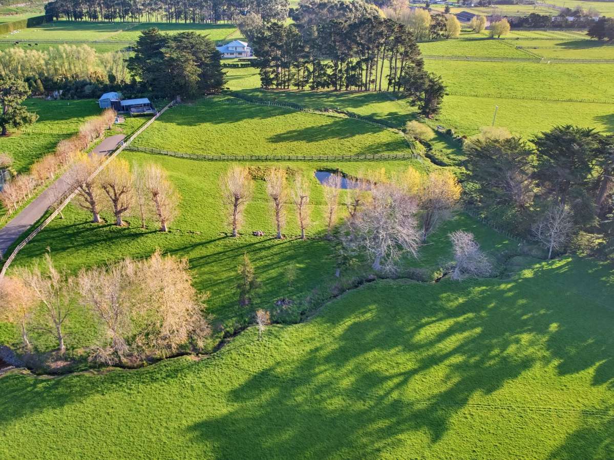 30 Forest Hill Road_5