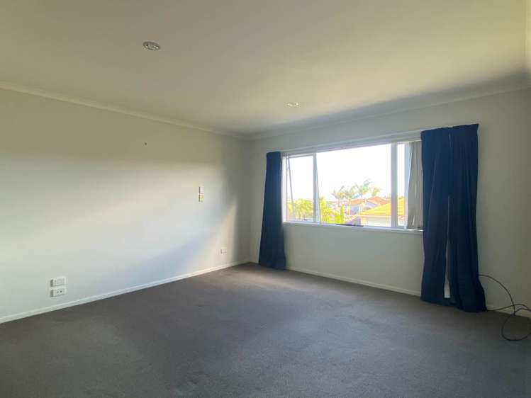 213 Jeffs Road Flat Bush_5
