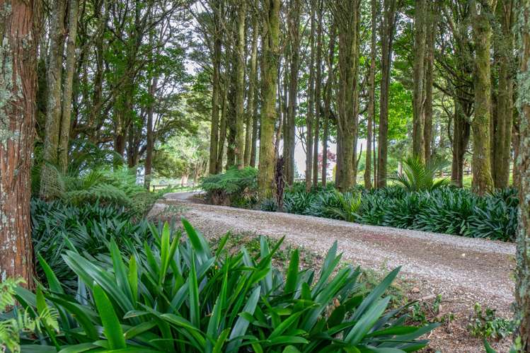 217 Puhipuhi Road Whakapara_20