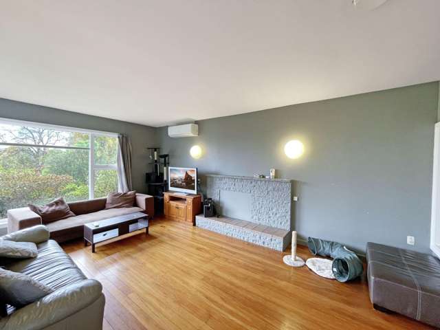 36 Avonside Dr Linwood_3