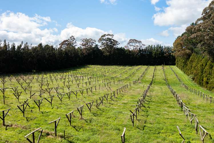 1374 Pipiwai Road Ruatangata_11