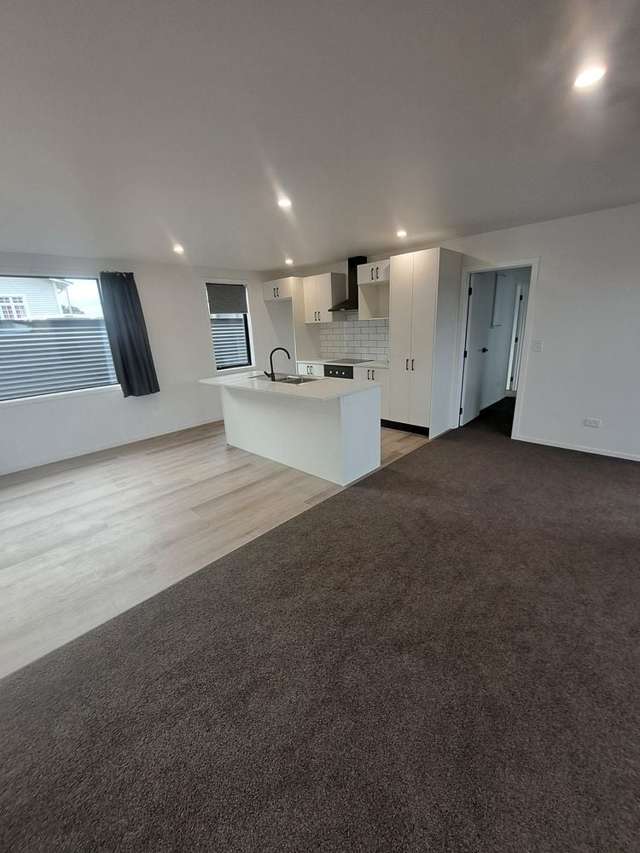 205 Ngamotu Road Spotswood_3