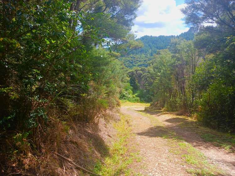 6115 State Highway 1 Kaitaia_25