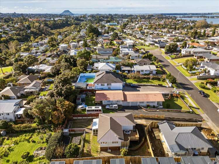 3b Hilltop Road Parkvale_19