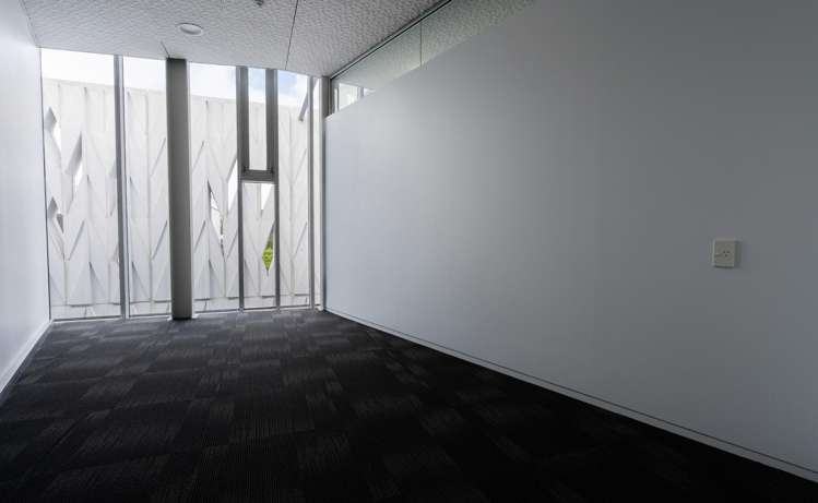 3.2/8A Cleveland Road Parnell_5