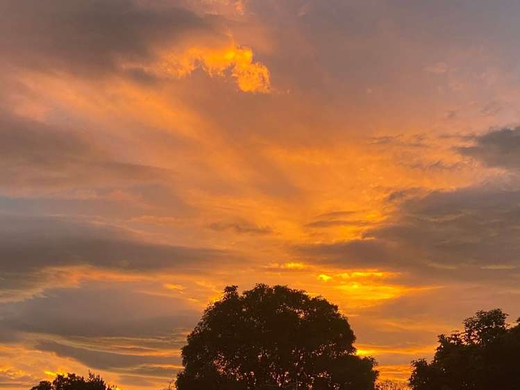 16A Puriri Street Riccarton_15