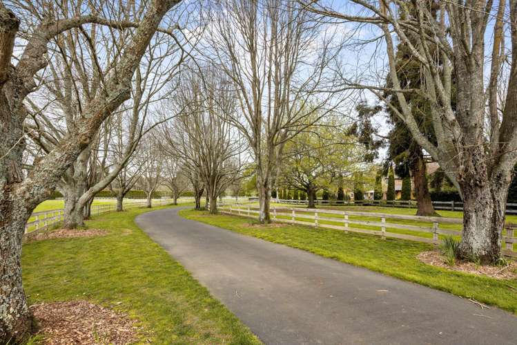 282 Woodside Road Matangi_49