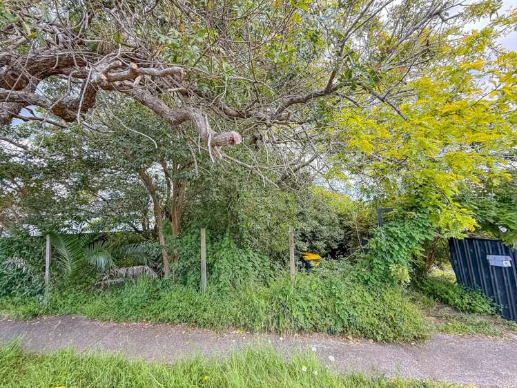 131 Rosier Road Glen Eden_14