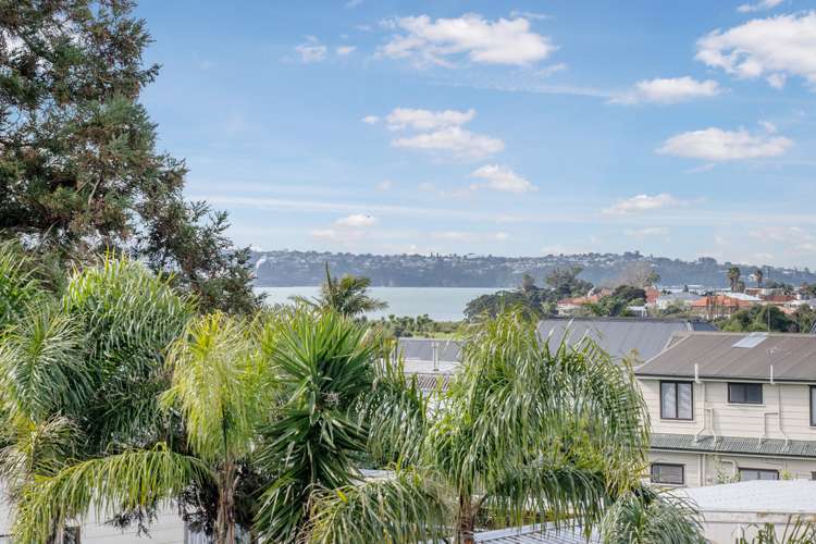 239a Meola Road Point Chevalier_10