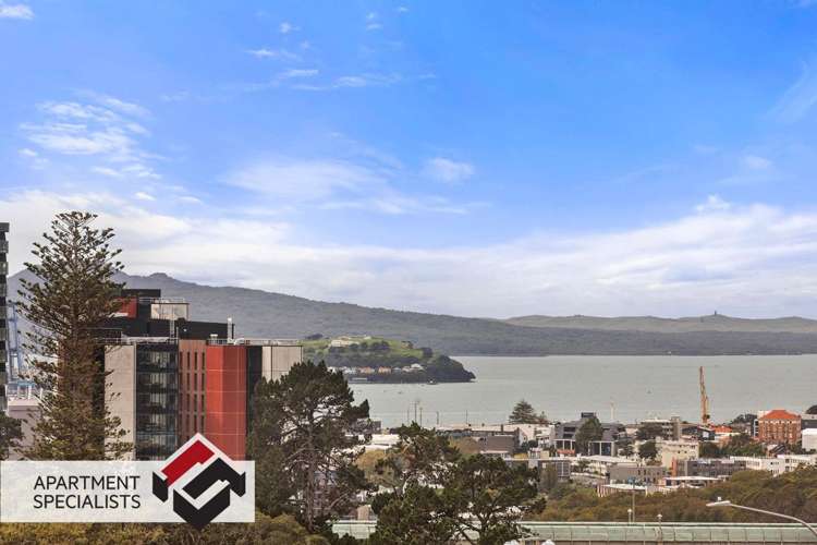 145 Symonds Street Eden Terrace_6