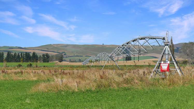 311 Hamilton Road Fairlie_22