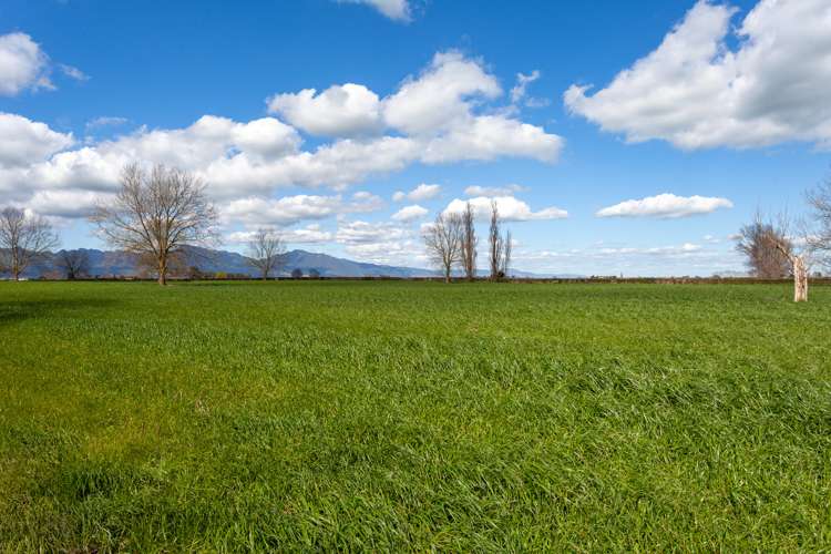 O'Donoghue Road Hauraki Surrounds_9