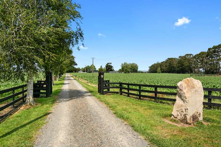 127 Norrish Road Ohaupo_0