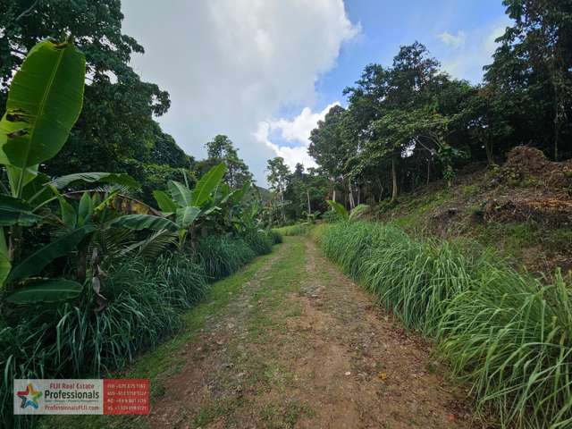 Address withheld Savusavu_3