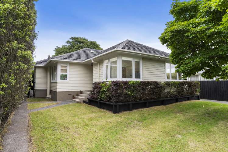 73 Mead Street Avondale_2