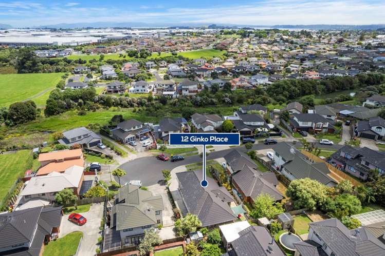 12 Ginko Place Mangere_22