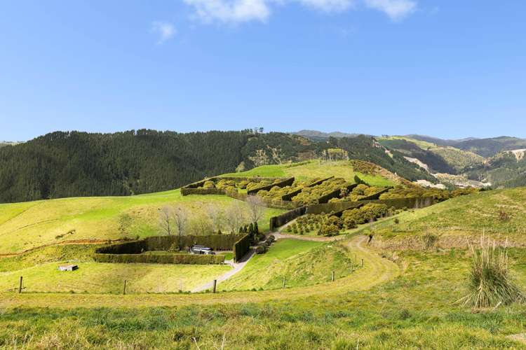 220F Waikite Road Welcome Bay_6