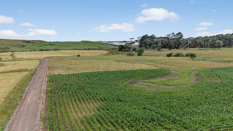 00 Awhitu Road Waiuku_14