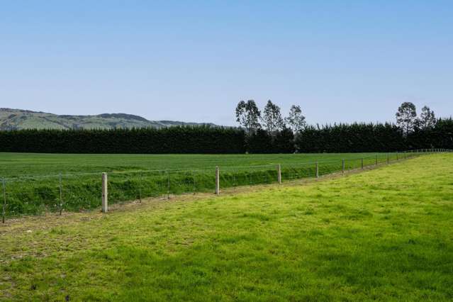 Warr Road. Balfour_3