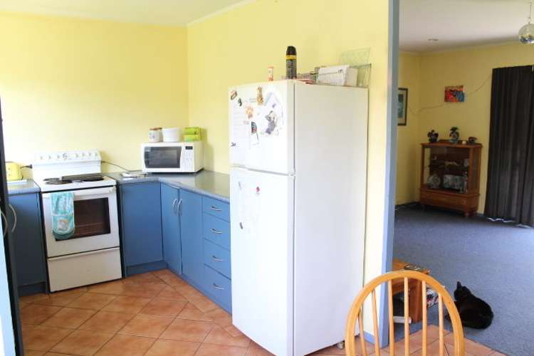 12a Wilson Street Hamilton East_6