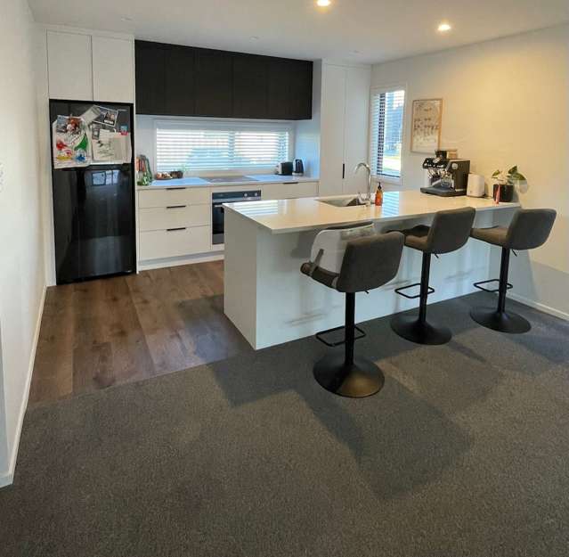 76 Jacks Landing Drive Hamilton Lake_2