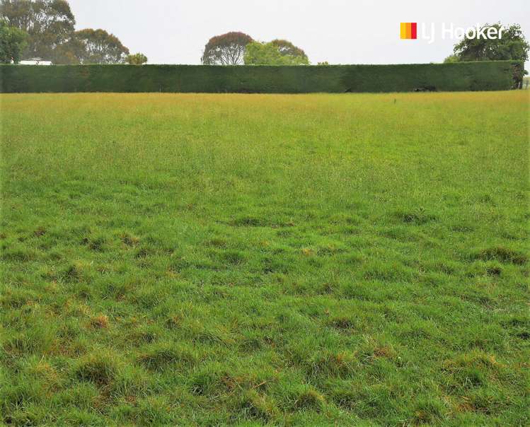 22 Stafford Street Hampden_6