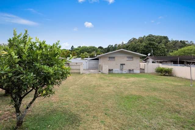 350 River Road Kawerau_2