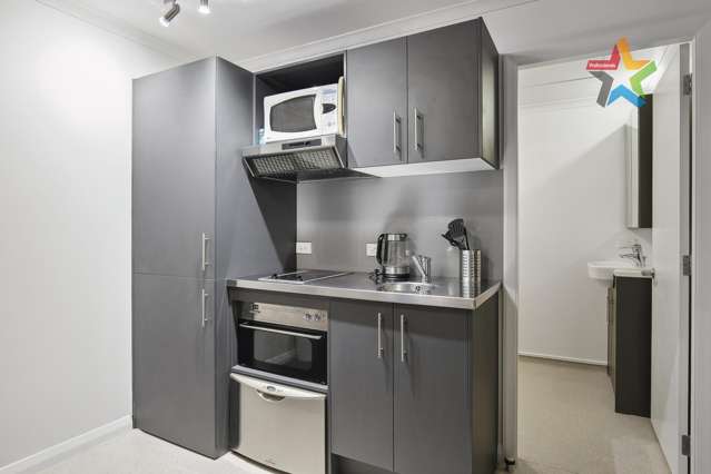 312/15 Holland Street Te Aro_3