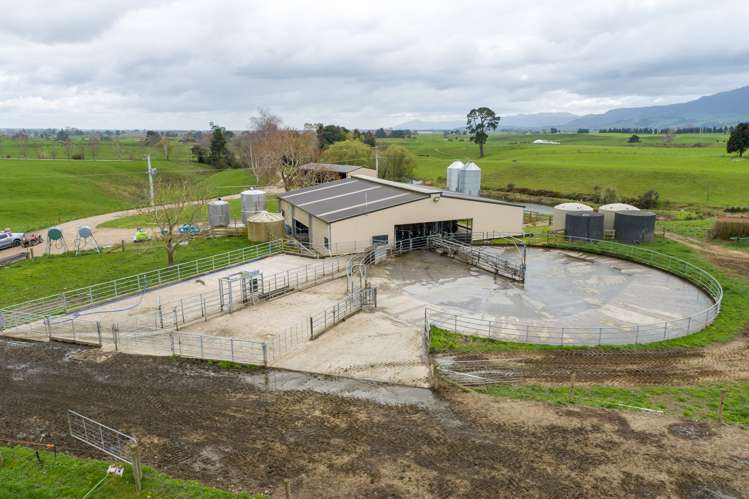 210 Papatangi Road Te Poi_6