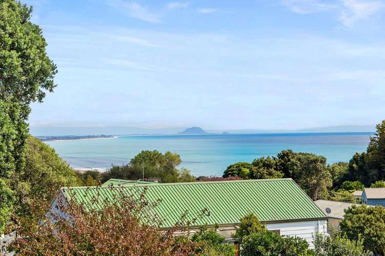 82 Arawa Avenue Maketu_9