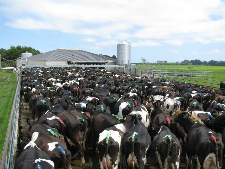 259 Teviotdale Road Otautau_6