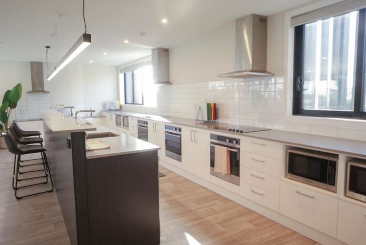 52 Delta Avenue New Lynn_7