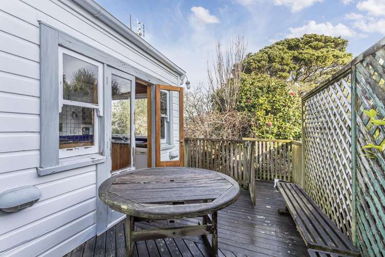48 Coromandel Street Newtown_17