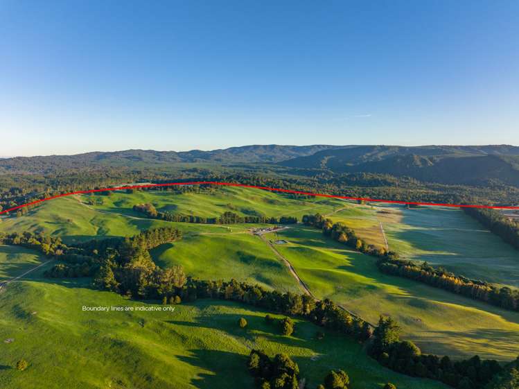 2709 State Highway 41 Kuratau_13