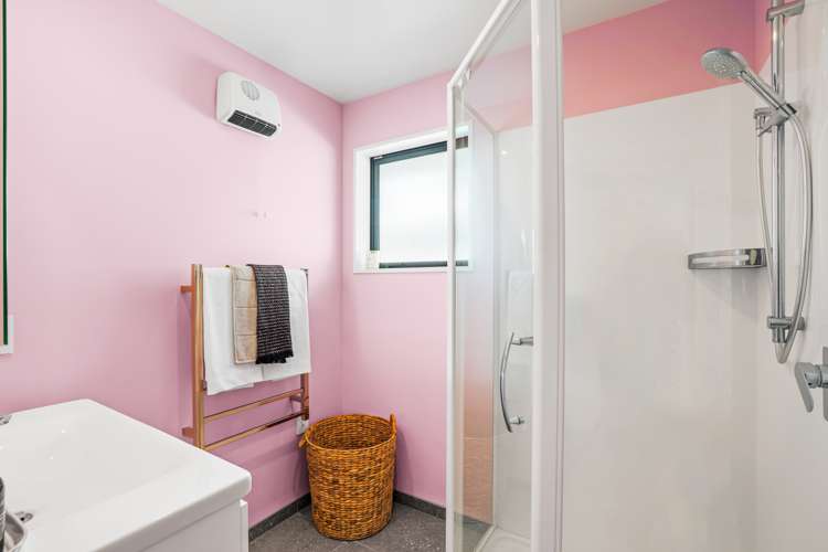 223b Mount Pleasant Road Mount Pleasant_21