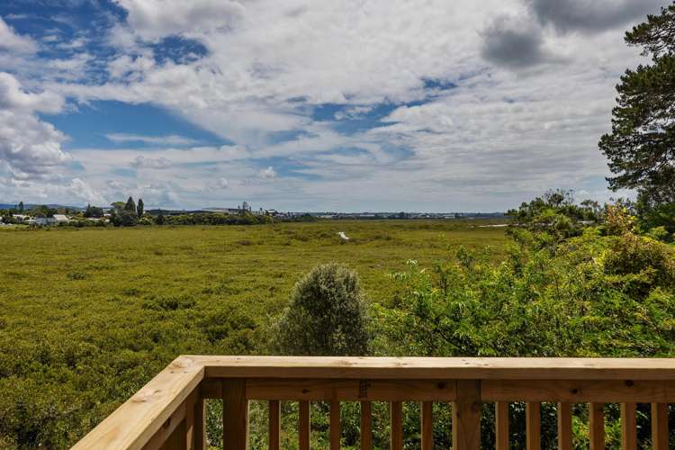 46C Fairlands Avenue Waterview_16