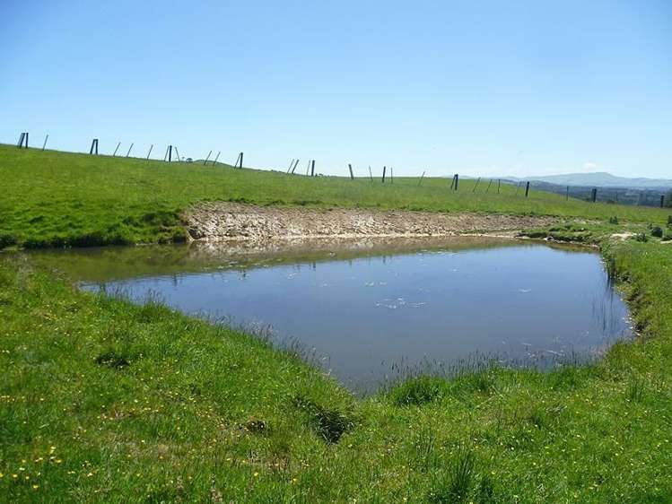 109 Chester Park Road Carterton_14