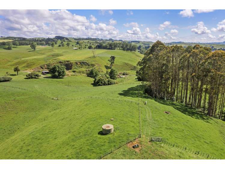 80 State Highway 3 Piopio_34