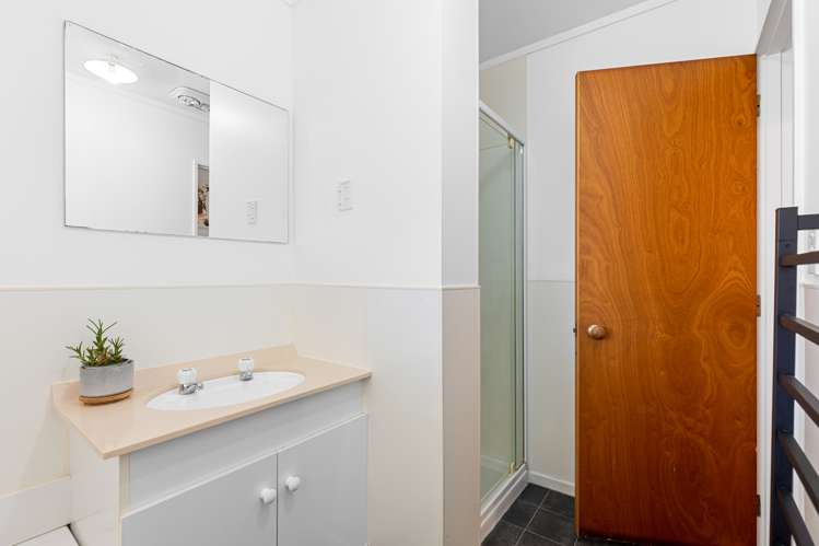 17 Mercury Street Milson_16