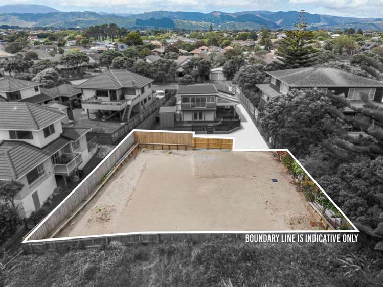 169A Manly Street Paraparaumu Beach_4