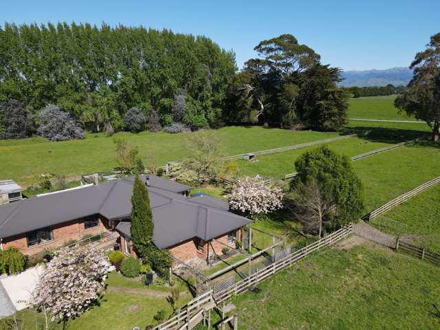 181C Willow Park Drive Masterton_2