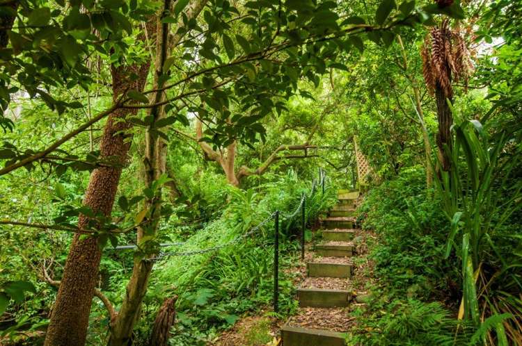 74 Moffat Drive Lincoln_18