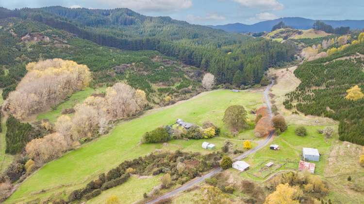 424 Tapuiwahine Road Ongarue_23