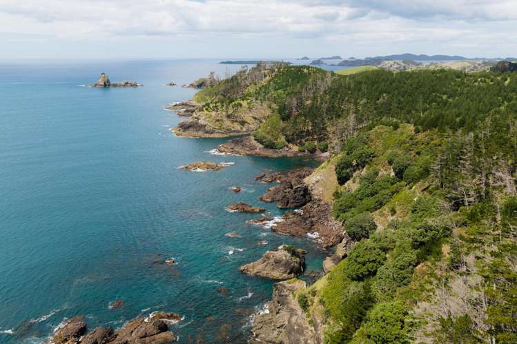 Whangaihe Bay Kaeo_11