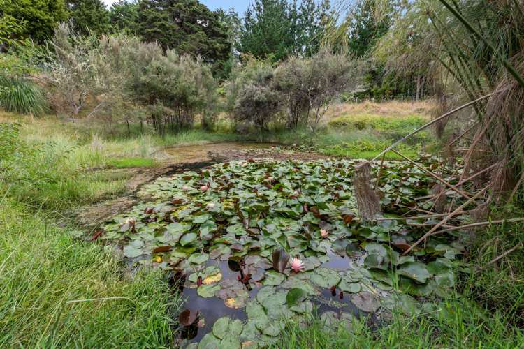 453 Cemetery Road Maunu_16