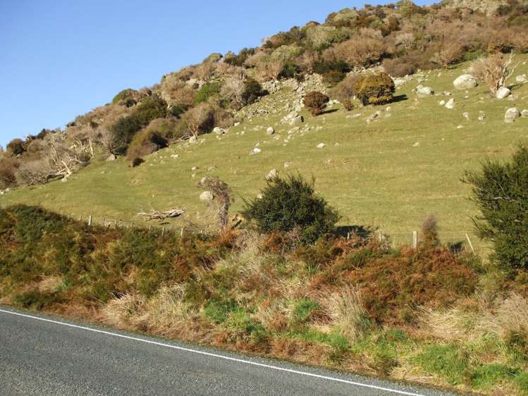 Papatowai Highway Papatowai/Pounawea_6