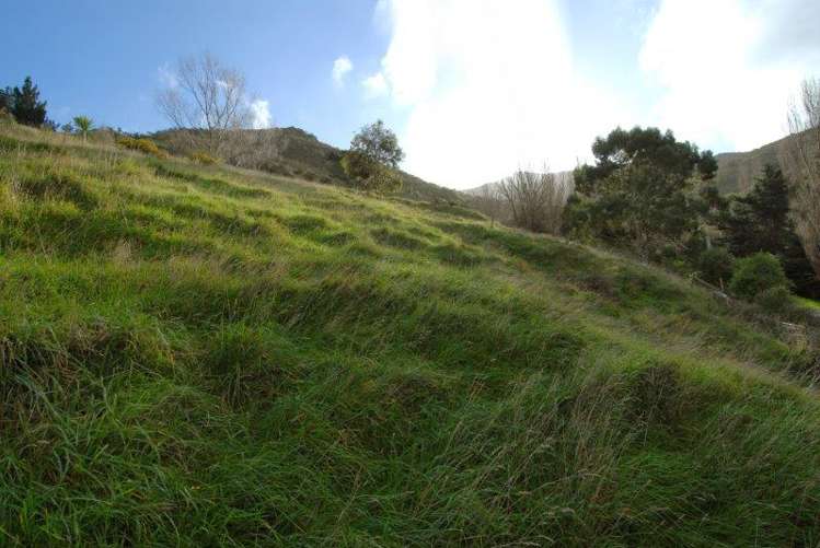 20 Harmans Road Lyttelton_5